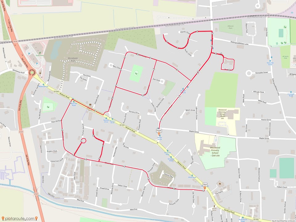 March Lions Club CIO